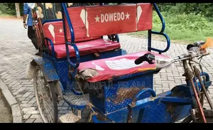 Running Rickshaw for Sale