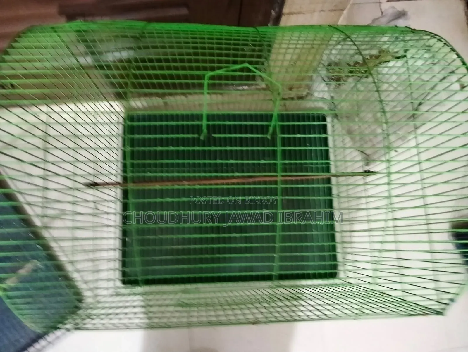 পাখির খাঁচা