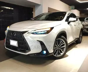Lexus NX 2022 Pearl