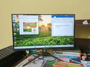Walton B22i monitor