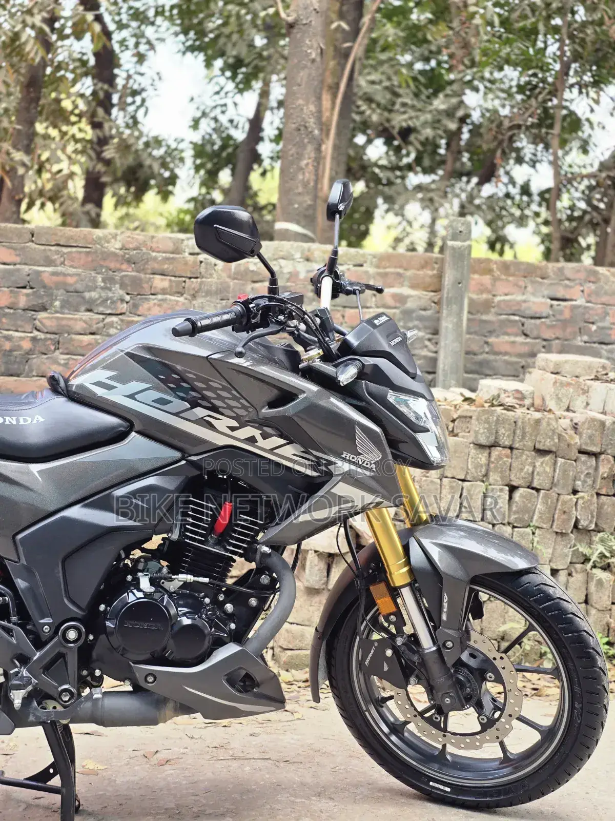 Honda Hornet 2025 Gray