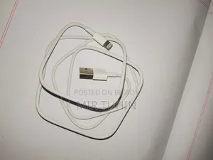 Original Apple Lighting Cable