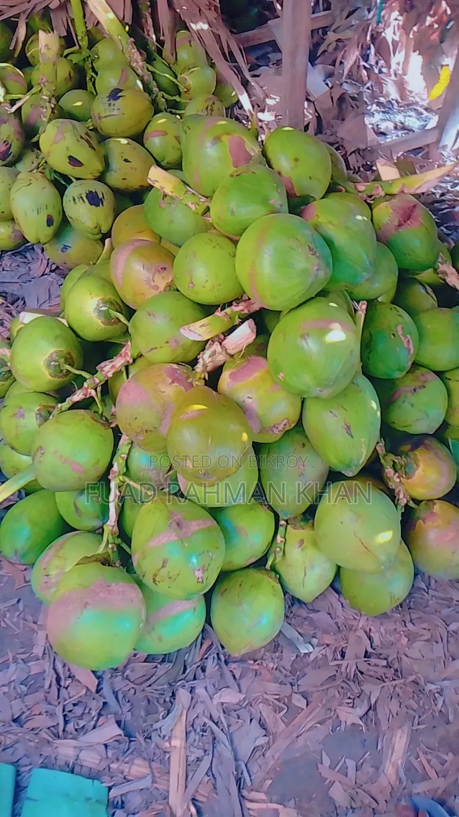 Green Coconut