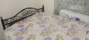 Iron (Rod or Metal) Bed