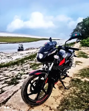 Bajaj Pulsar 150 2019 Black