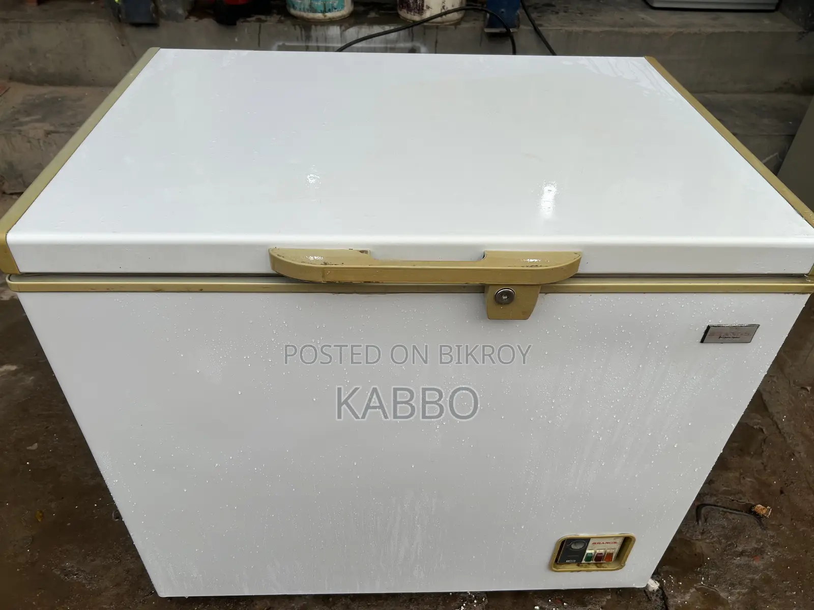 Rangs 245 Liter Fridge