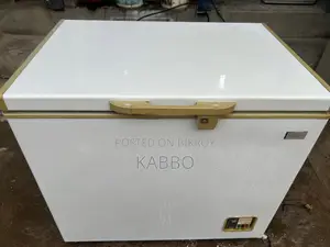 Rangs 245 Liter Fridge
