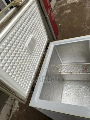 Rangs 245 Liter Fridge