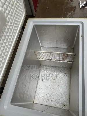 Rangs 245 Liter Fridge