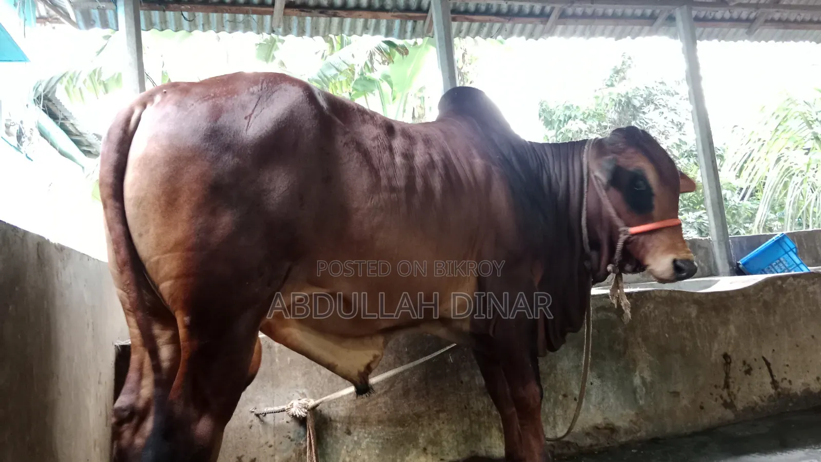 বিক্রয় হবে