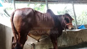বিক্রয় হবে