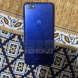 Huawei Y5 16 GB Blue