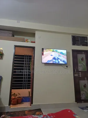 Singer Google TV