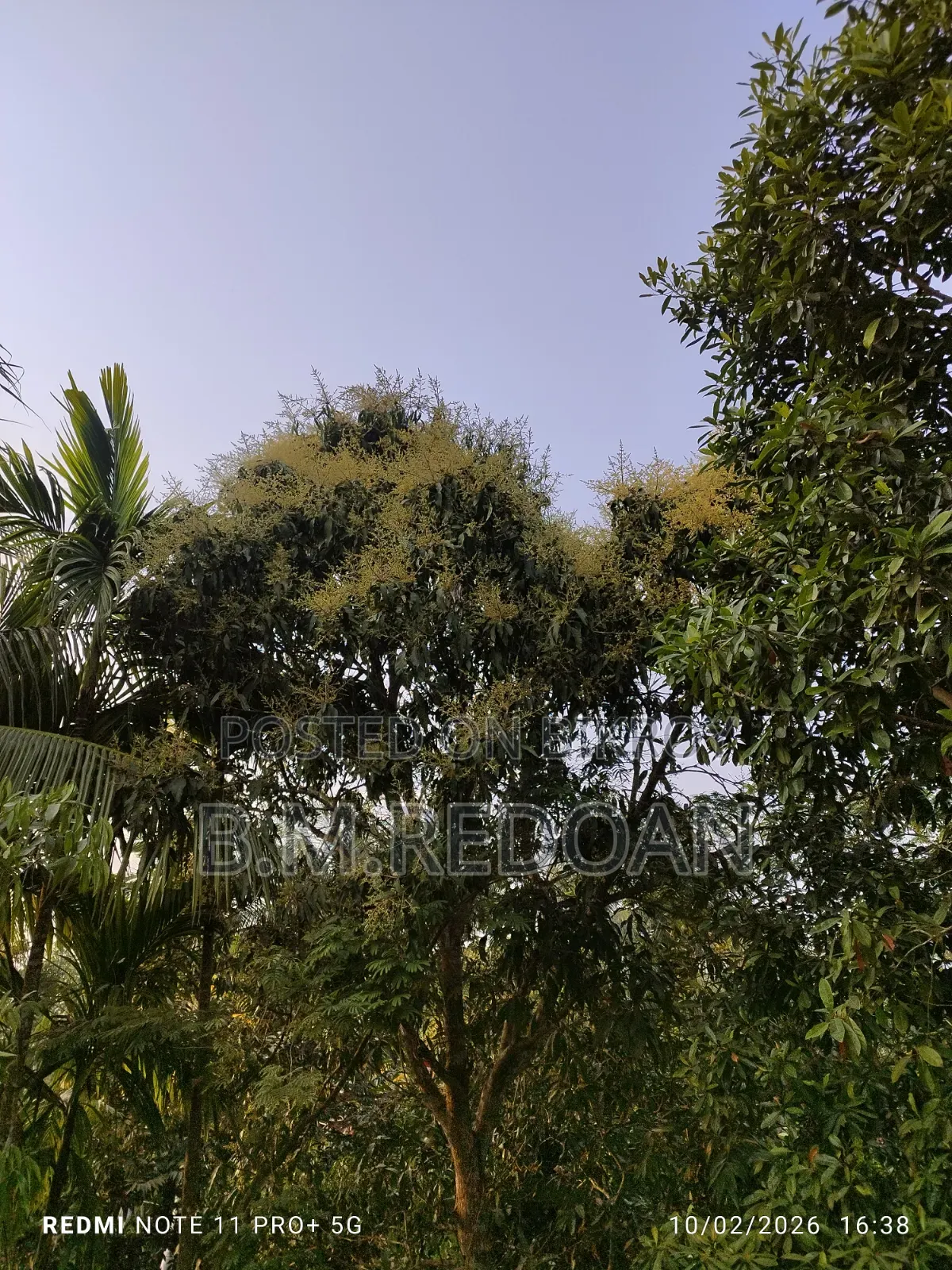 Ready plot for sale on Laden Road adjacent to DIG Office in Barisal city