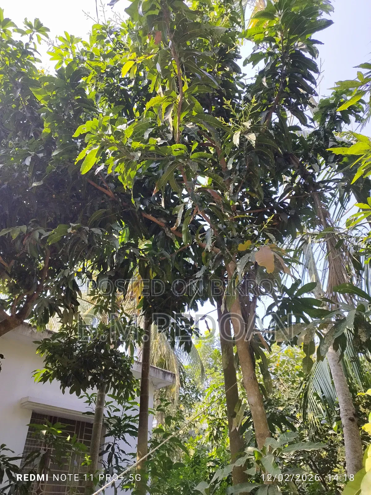 Ready plot for sale on Laden Road adjacent to DIG Office in Barisal city