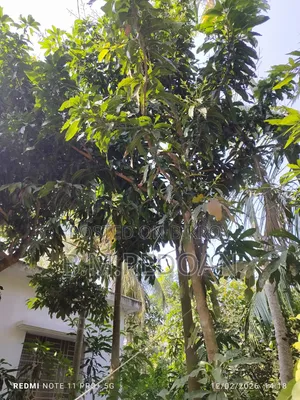Ready plot for sale on Laden Road adjacent to DIG Office in Barisal city