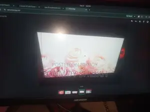22" Hikvision Monitor (2mark)