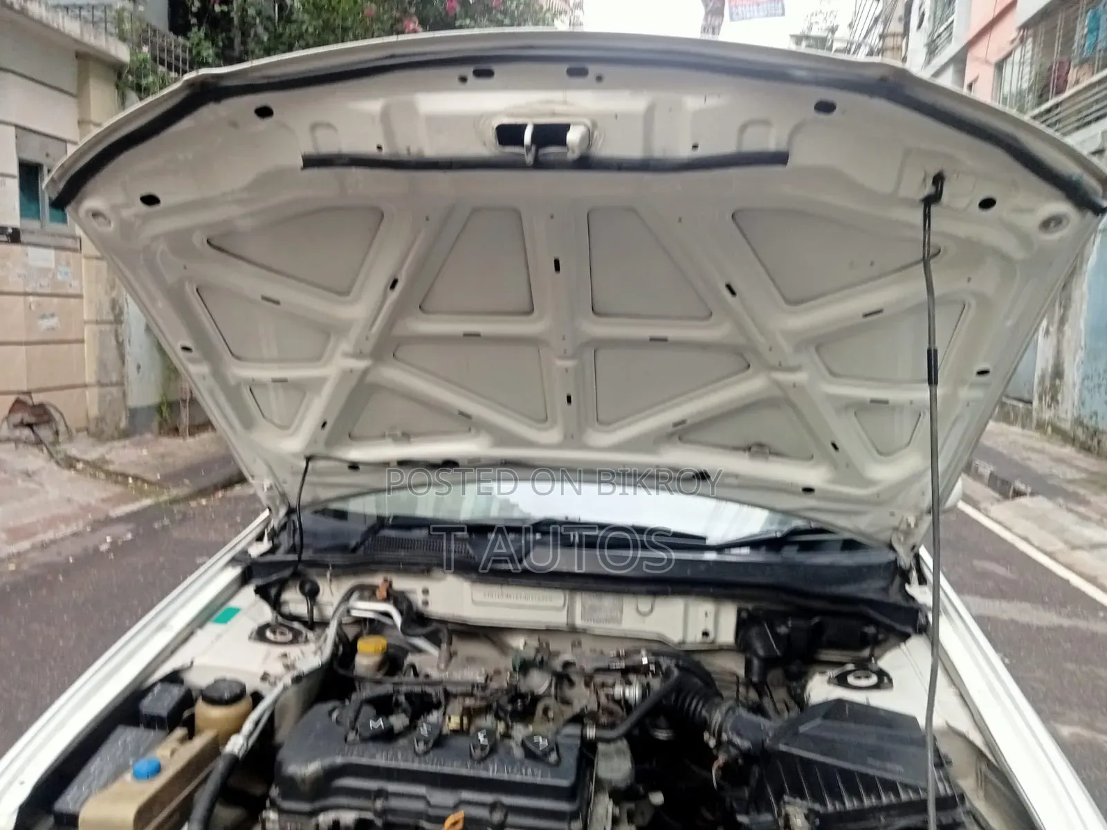 Nissan Sunny 2008 White