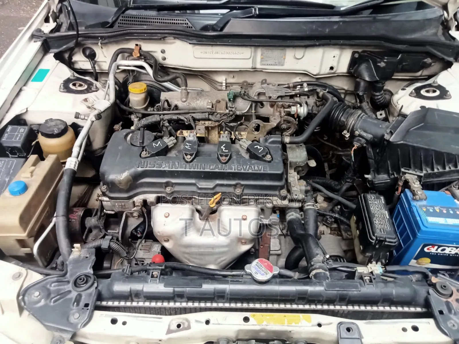Nissan Sunny 2008 White