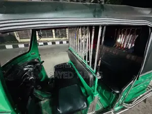 TVS King 2019 Green