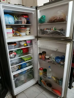 Sharp Fridge