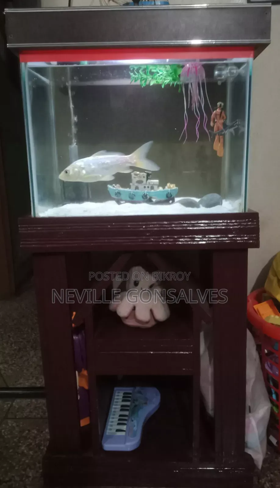 Aquarium Tank