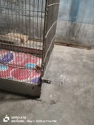 একটি পাখি খাঁচা বিক্রী করা হবে।