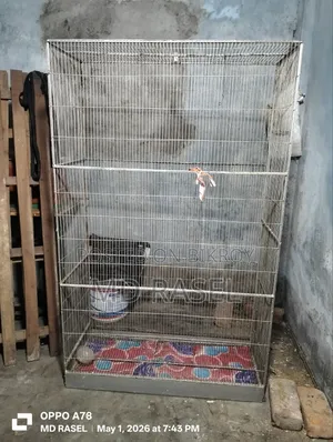 একটি পাখি খাঁচা বিক্রী করা হবে।