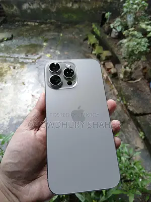 Apple iPhone 16 Pro Max 256 GB Gray