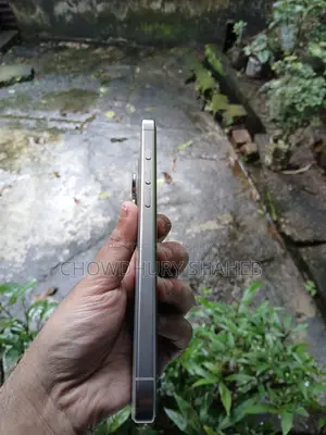 Apple iPhone 16 Pro Max 256 GB Gray