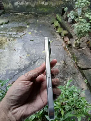 Apple iPhone 16 Pro Max 256 GB Gray