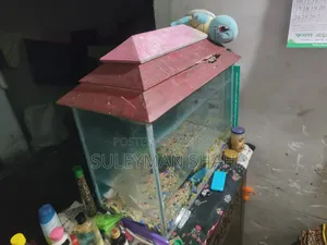 Aquarium Sell Post