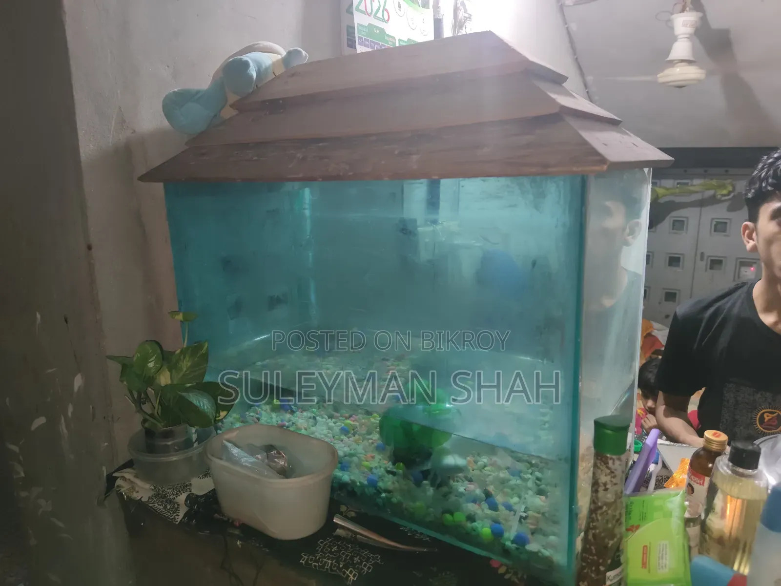 Aquarium Sell Post