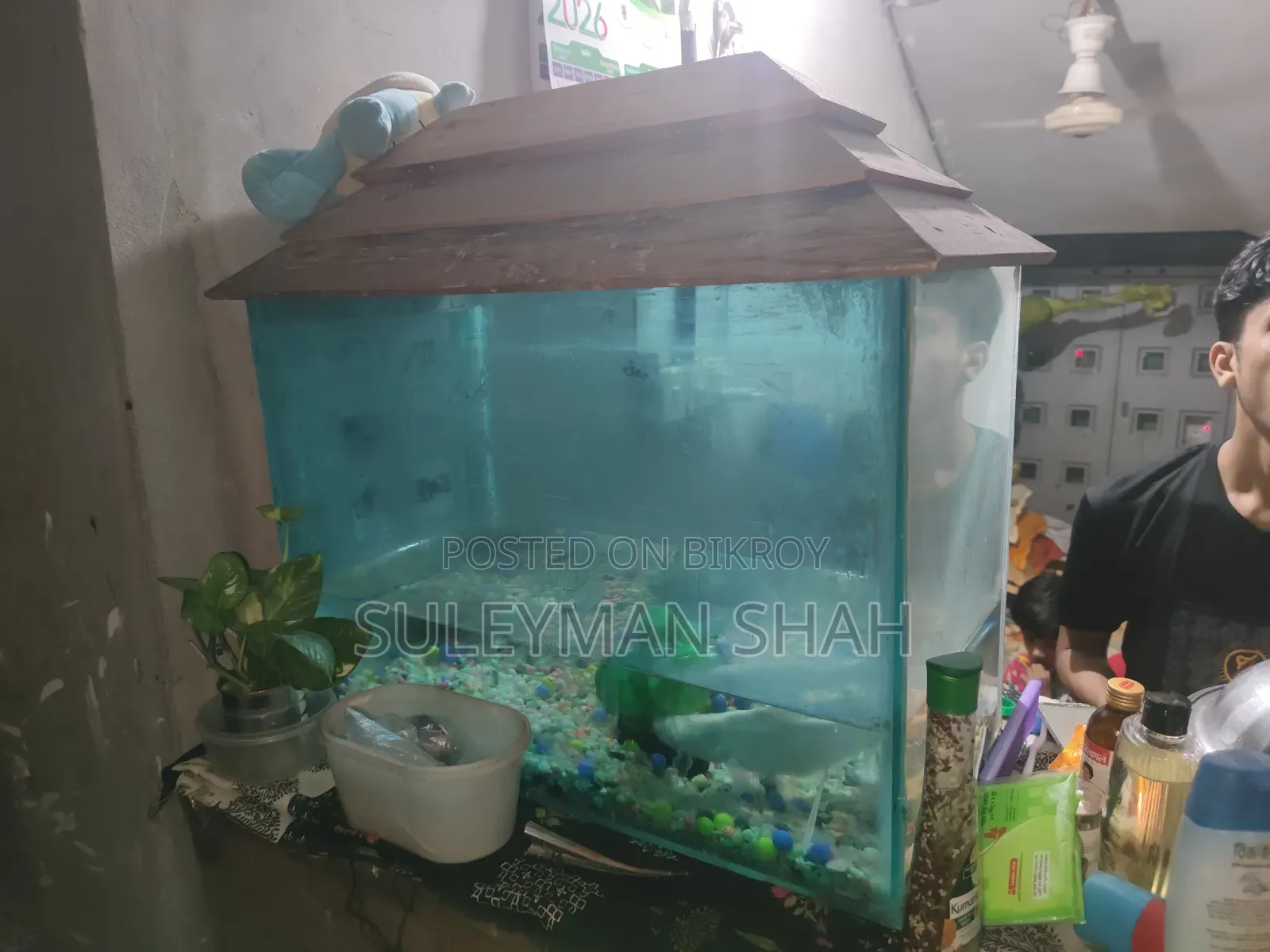Aquarium Sell Post