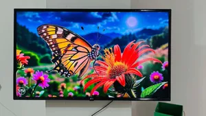 Lg 43" Smart Tv Voice Control (With Box)