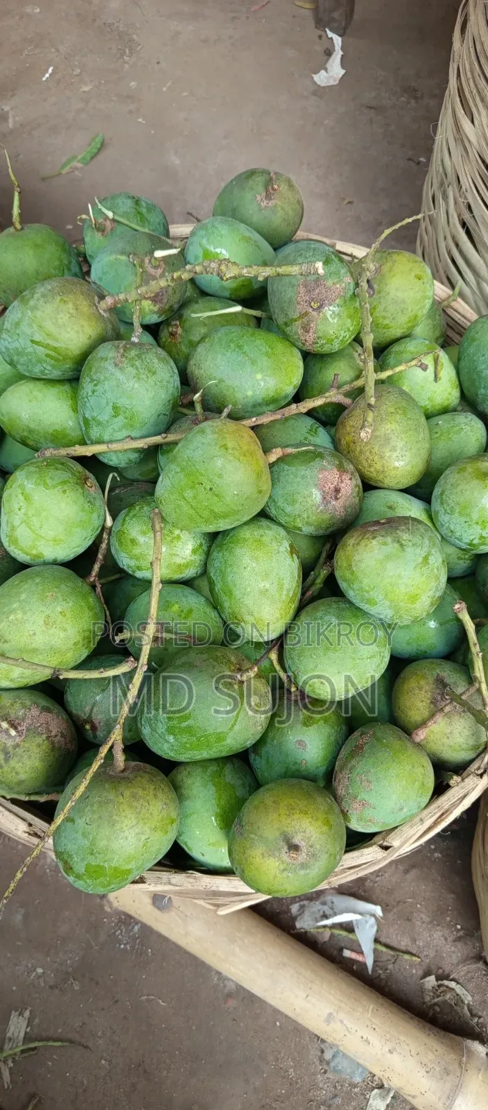 সাতক্ষীরার বিখ্যাত হিমসাগর আম
