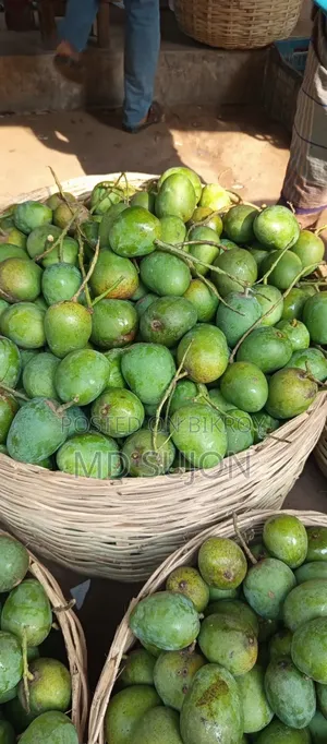 সাতক্ষীরার বিখ্যাত হিমসাগর আম