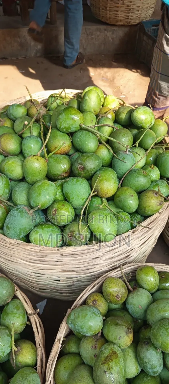 সাতক্ষীরার বিখ্যাত হিমসাগর আম