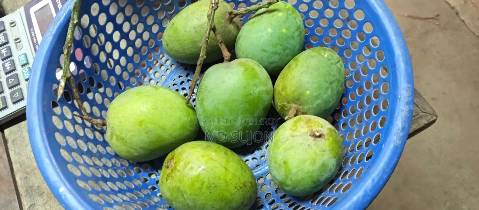 সাতক্ষীরার বিখ্যাত হিমসাগর আম