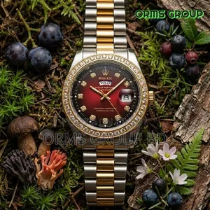 Luxury Rolex Day-Date Two-Tone Gold Silver – Black Diamond Dial F