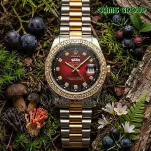Luxury Rolex Day-Date Two-Tone Gold Silver – Black Diamond Dial F