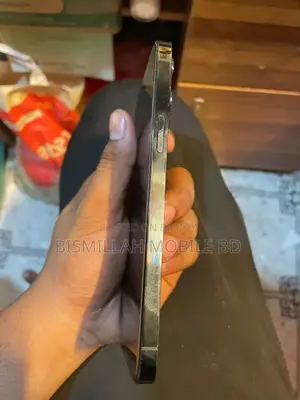 Apple iPhone 12 Pro Max 256 GB