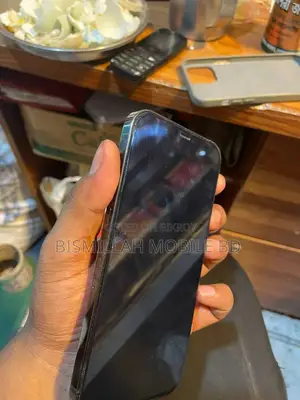 Apple iPhone 12 Pro Max 256 GB