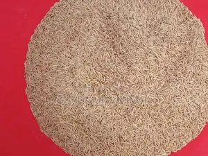 পাখির খাবার (বাসমতি ধান)