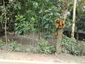 3-bedroom House in Al Amin, Narsingdi Sadar for sale