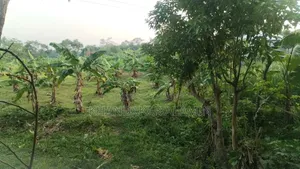 3-bedroom House in Al Amin, Narsingdi Sadar for sale