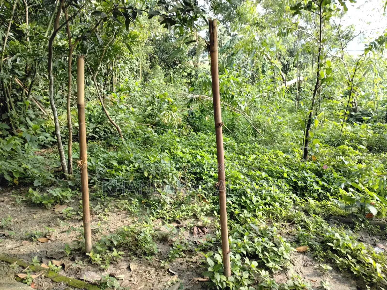3-bedroom House in Al Amin, Narsingdi Sadar for sale