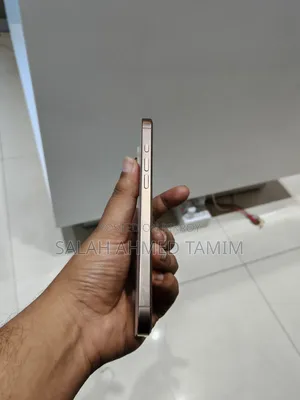 New Apple iPhone 16 Pro Max 256 GB Gold