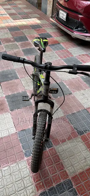 ফিনিক্স বাইসাইকেল