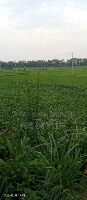 Land for Sale